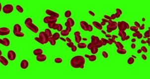 globules rouges d'animation du rendu 3D dans une artère, corps intérieur d'écoulement, soins de santé humains médicaux sur l'écra illustration de vecteur globules rouges d'animation du rendu 3D dans une artère, corps intérieur d'écoulement, soins de santé humains médicaux sur l'écra illustration de vecteur