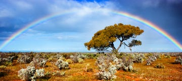 Gloria del arco iris Gloria del arco iris