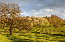 gloucestershire τοπίο στοκ φωτογραφία gloucestershire τοπίο στοκ φωτογραφία