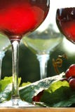 Glow Of Red Wine Stock Photography Glow Of Red Wine Stock Photography