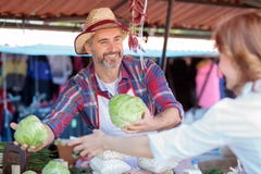 Glückliche lächelnde ältere Landwirtstellung hinter dem Stall, organisches Gemüse in einem Markt verkaufend lizenzfreies stockbild Glückliche lächelnde ältere Landwirtstellung hinter dem Stall, organisches Gemüse in einem Markt verkaufend lizenzfreies stockbild