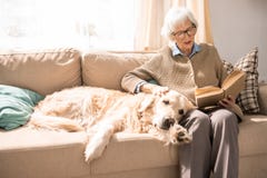Glücklicher Hund auf Couch mit älterer Dame lizenzfreie stockbilder Glücklicher Hund auf Couch mit älterer Dame lizenzfreie stockbilder