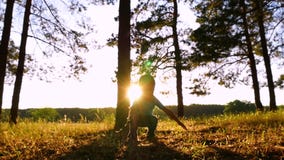 Glücklicher Scherz des kleinen Jungen im Park oder im Wald bei Sonnenuntergang Die Kinderspiele mit den Blättern, sie oben werfen stock video Glücklicher Scherz des kleinen Jungen im Park oder im Wald bei Sonnenuntergang Die Kinderspiele mit den Blättern, sie oben werfen stock video