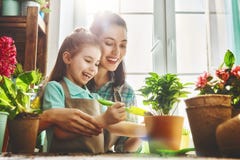 Glücklicher Tag der Familie im Frühjahr stockfotografie Glücklicher Tag der Familie im Frühjahr stockfotografie