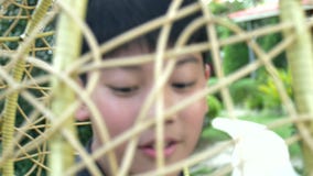 Glückliches asiatisches Kind auf dem Schwingen in einem Park stock video footage Glückliches asiatisches Kind auf dem Schwingen in einem Park stock video footage