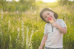 Glückliches Kind, das Plätzchen in Form von Eiscreme isst Kinder essen im Garten Junge im Garten, der eine Eiscreme hält lizenzfreie stockfotografie Glückliches Kind, das Plätzchen in Form von Eiscreme isst Kinder essen im Garten Junge im Garten, der eine Eiscreme hält lizenzfreie stockfotografie