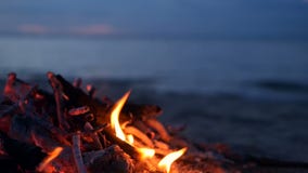 Glühendes Lagerfeuer auf Strand, Sommerabend Feuer in der Natur als Hintergrund Brennendes Holz auf weißem Sandufer bei Sonnenunt stock footage Glühendes Lagerfeuer auf Strand, Sommerabend Feuer in der Natur als Hintergrund Brennendes Holz auf weißem Sandufer bei Sonnenunt stock footage