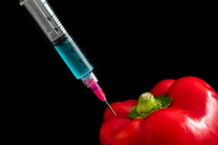 GMO, nourriture génétiquement modifiée image stock GMO, nourriture génétiquement modifiée image stock