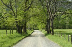 Gnistagränd i den Cades lilla viken av rökiga berg, TN, royaltyfri bild Gnistagränd i den Cades lilla viken av rökiga berg, TN, royaltyfri bild