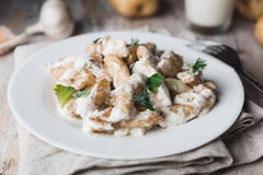 Gnocchi fait maison de pomme de terre dans un plat photo stock Gnocchi fait maison de pomme de terre dans un plat photo stock