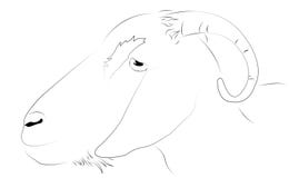 Six Cute Cartoon Animal Head Royalty Free Stock Photography - Image