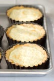 Goat Cheese Tart Royalty Free Stock Photography Goat Cheese Tart Royalty Free Stock Photography