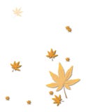 Gold Autumn Leaves On Brightly Stock Images