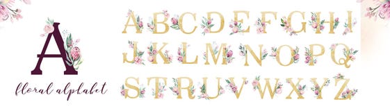 Gold glitter letter alphabet. Isolated Golden alphabetic fonts and numbers on white background. Floral wedding font text