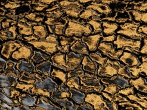 Gold gray paint toned wood surface texture. Rare wood grain natural pattern for design decor. Abstract shiny metallic background stock photography Gold gray paint toned wood surface texture. Rare wood grain natural pattern for design decor. Abstract shiny metallic background stock photography