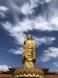 a golden Buddha standing tall on the lotus royalty free stock photos a golden Buddha standing tall on the lotus royalty free stock photos