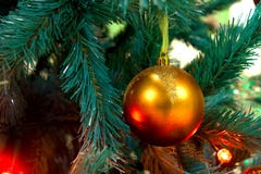 Golden Christmas Ball Hanging On Branch Stock Photography