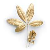 Golden leaf design elements. Decoration elements for invitation, wedding cards, valentines day, greeting cards. on white royalty free stock photo Golden leaf design elements. Decoration elements for invitation, wedding cards, valentines day, greeting cards. on white royalty free stock photo
