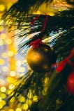 Golden matte Christmas decoration on the pine tree at night outdoors. stock photo Golden matte Christmas decoration on the pine tree at night outdoors. stock photo