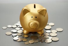 Golden piggy bank with coins. Financial concept Stock Image Golden piggy bank with coins. Financial concept Stock Image