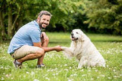 Golden retriever trainning o domante dell'uomo fotografia stock libera da diritti Golden retriever trainning o domante dell'uomo fotografia stock libera da diritti