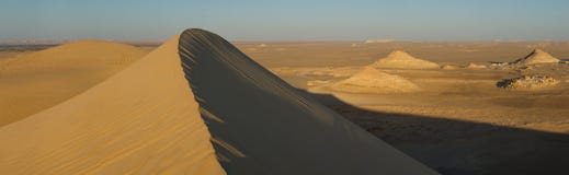 Golden sand in Sahara desert in Egypt royalty free stock image Golden sand in Sahara desert in Egypt royalty free stock image