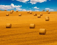 Golden straw field with hay bales and a beautiful blue cloudy sky. Harvest meadow in golden yellow colors. Stock Images Golden straw field with hay bales and a beautiful blue cloudy sky. Harvest meadow in golden yellow colors. Stock Images
