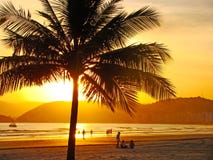 Golden Sunset On The Beach Golden Sunset On The Beach