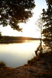 Golden sunset or sunrise with tree silhouettes over a forest lake stock images Golden sunset or sunrise with tree silhouettes over a forest lake stock images