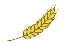 Golden wheat