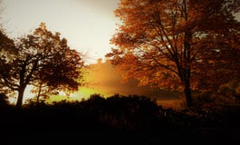 Goldener Autumn Sunrise im nebeligen Sumpf lizenzfreies stockfoto Goldener Autumn Sunrise im nebeligen Sumpf lizenzfreies stockfoto