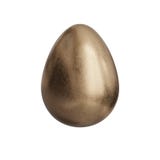 Goldenes Ei 3d ?bertragen lokalisiert lizenzfreie abbildung Goldenes Ei 3d ?bertragen lokalisiert lizenzfreie abbildung