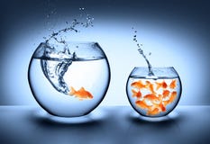 Goldfish jumping - improvement concept