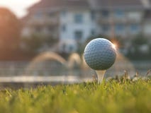 Golf athletes began to hit one wood. In the green lawn for victory In the golf tournament stock photography Golf athletes began to hit one wood. In the green lawn for victory In the golf tournament stock photography