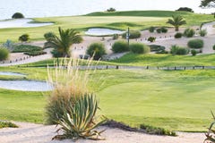 Golf Course by the ocean