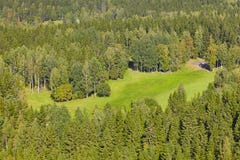Golf course surrounded by forest. View from the air Royalty Free Stock Images Golf course surrounded by forest. View from the air Royalty Free Stock Images
