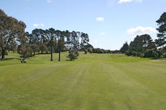 Golf Green Royalty Free Stock Photo