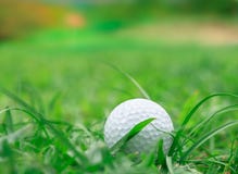 Golf op Ruw gras royalty-vrije stock afbeeldingen Golf op Ruw gras royalty-vrije stock afbeeldingen