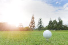 Golfconcept: Golfbal op golfcursus, een golf ballset omhoog voor stock afbeelding Golfconcept: Golfbal op golfcursus, een golf ballset omhoog voor stock afbeelding