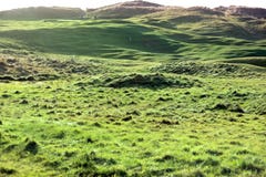 Golfers Playering On Links Golf Course Royalty Free Stock Photography Golfers Playering On Links Golf Course Royalty Free Stock Photography