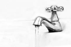 Golpecitos del cuarto de baño Golpecitos del cuarto de baño