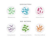 Good and bad bacterial flora icon set isolated on white background. Gut dysbiosis concept medical illustration with Stock Illustration Good and bad bacterial flora icon set isolated on white background. Gut dysbiosis concept medical illustration with Stock Illustration