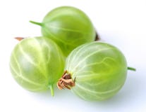 Gooseberry imagem de stock royalty free Gooseberry imagem de stock royalty free