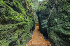 Gorge envahie avec de la mousse au-dessus d'un chemin rocheux étroit photographie stock libre de droits Gorge envahie avec de la mousse au-dessus d'un chemin rocheux étroit photographie stock libre de droits