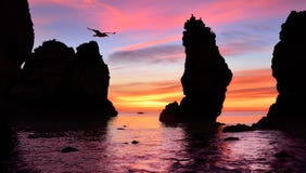 Gorgeous sunrise at the ocean stock image Gorgeous sunrise at the ocean stock image