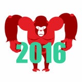 Gorilla keeps numbers 2016. Symbol of new year red monkey. Vector illustration of African animal vector illustration Gorilla keeps numbers 2016. Symbol of new year red monkey. Vector illustration of African animal vector illustration