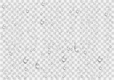 Gotas de água realísticas na janela transparente ilustração royalty free Gotas de água realísticas na janela transparente ilustração royalty free