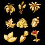 Gouden reeks bloemen, bladeren en groenten royalty-vrije illustratie Gouden reeks bloemen, bladeren en groenten royalty-vrije illustratie