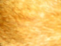 Gouden samenvatting vage achtergrond Gele kattenachtergrond royalty-vrije illustratie Gouden samenvatting vage achtergrond Gele kattenachtergrond royalty-vrije illustratie