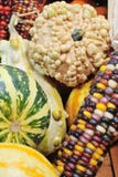 Gourds And Indian Corn Royalty Free Stock Images